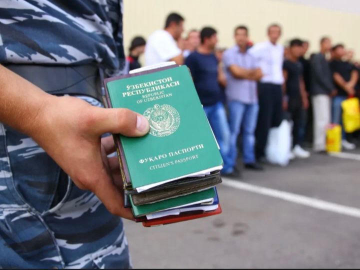 Операция "Нелегальный мигрант": эффективный барьер незаконной миграции