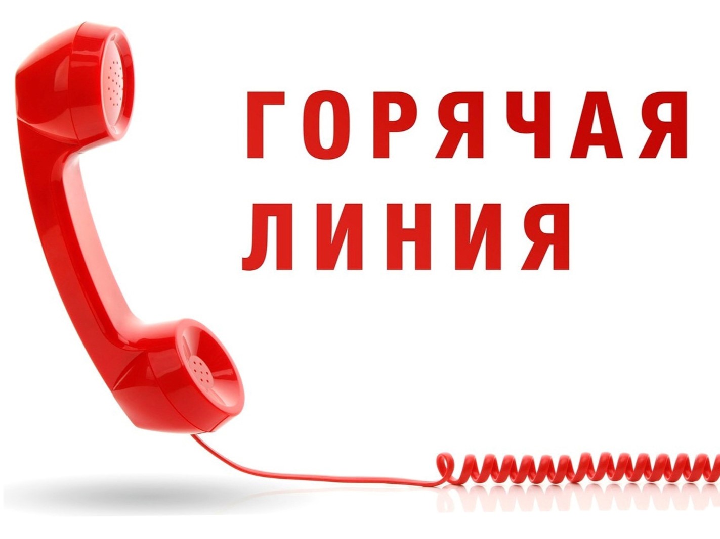 О проведении телефонной «горячей линии» по вопросам защиты прав потребителей платных образовательных услуг.